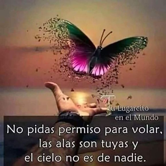 Meet your Posher, Isi - Picture 1 of 1